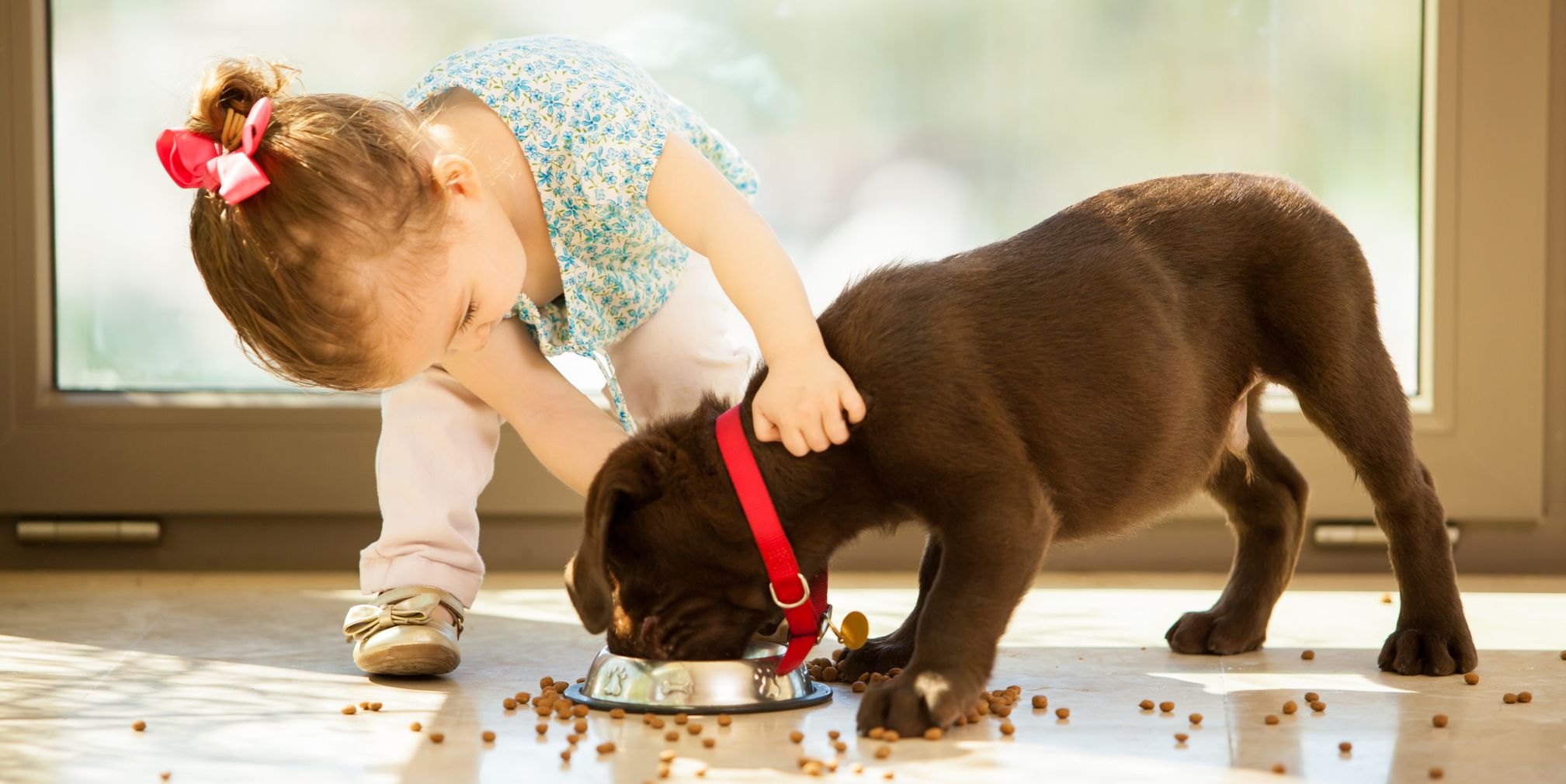 Enfant interagissant avec un chien